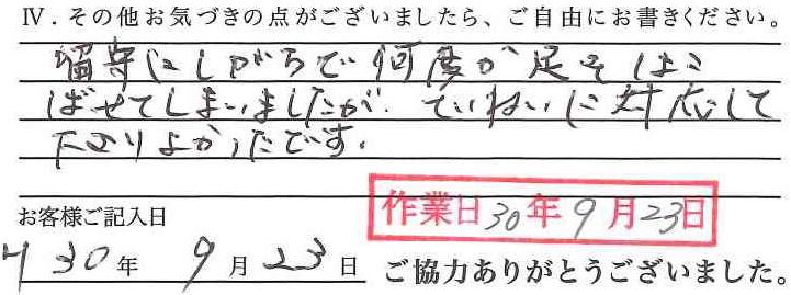 アンケート回答