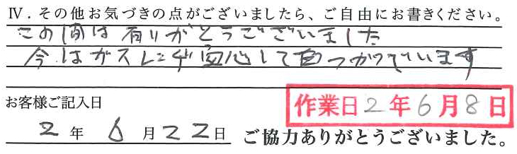 アンケート回答