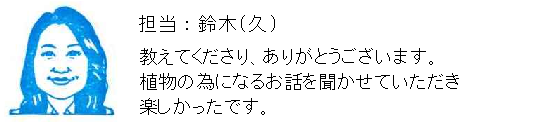コメント