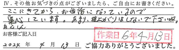 アンケート回答