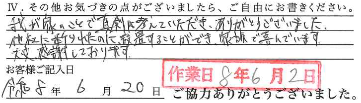 アンケート回答